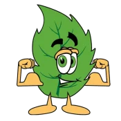 cropped-leaf-guy-anlts-icon-transparent-750x750-copy.png