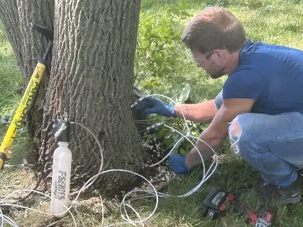 Man performing preventative tree care in Germantown, WI.